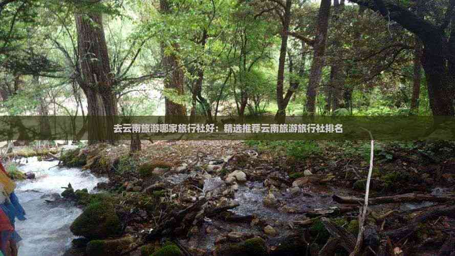 AG九游會(huì )·「中國」官方網(wǎng)站去云南旅游哪家旅行社好：精選推薦云南旅游旅行社排名(圖8)
